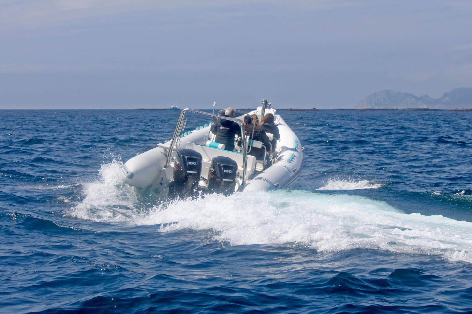 Narwhal SP-800 image 2